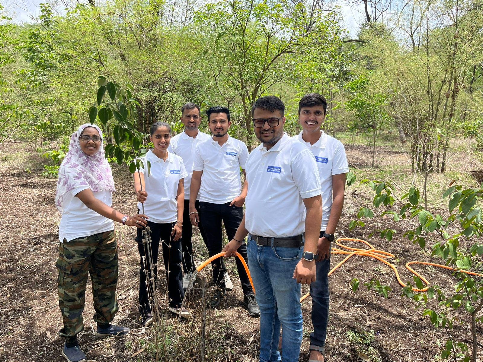 Tree Plantation Image 1